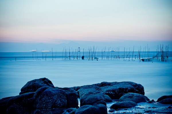 深圳湾--内伶仃岛-红树林淇澳岛