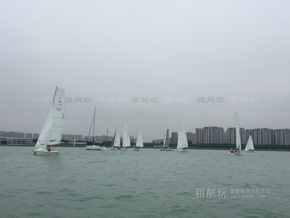 廈門 五緣灣帆船港 小帆船 出海體驗