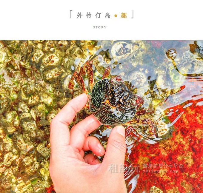 廣州游艇租賃 游艇租賃 租艇玩